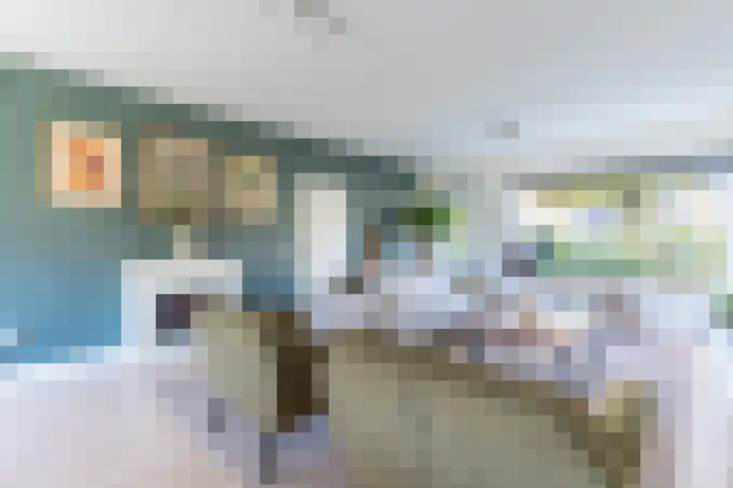 Forelkolk 4 Zwolle thumbnail 7