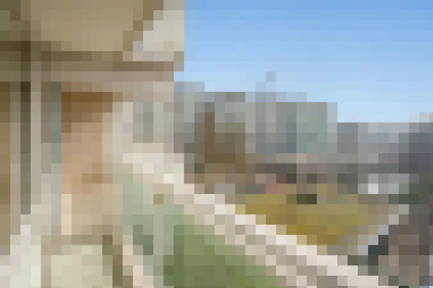 Forellendaal 1010 Den Haag thumbnail 19