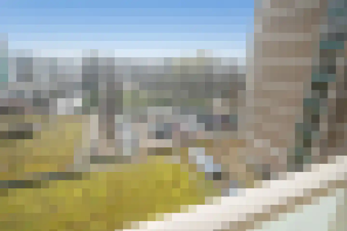 Forellendaal 1010 Den Haag thumbnail 20
