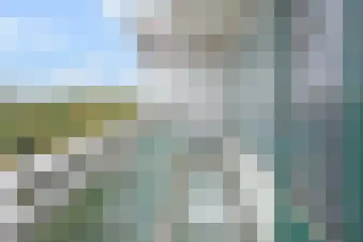 Forellendaal 130 Den Haag thumbnail 19