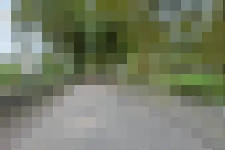 Forellendaal 130 Den Haag thumbnail 34