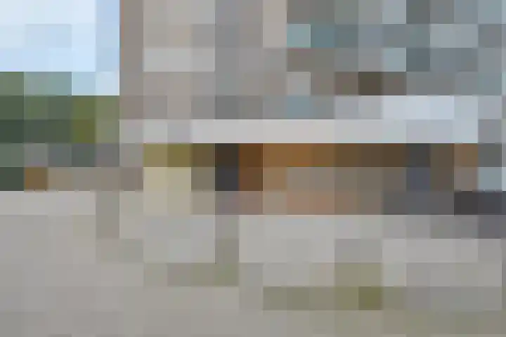 Forellendaal 130 Den Haag thumbnail 8