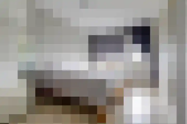 Forellendaal 152 Den Haag thumbnail 19