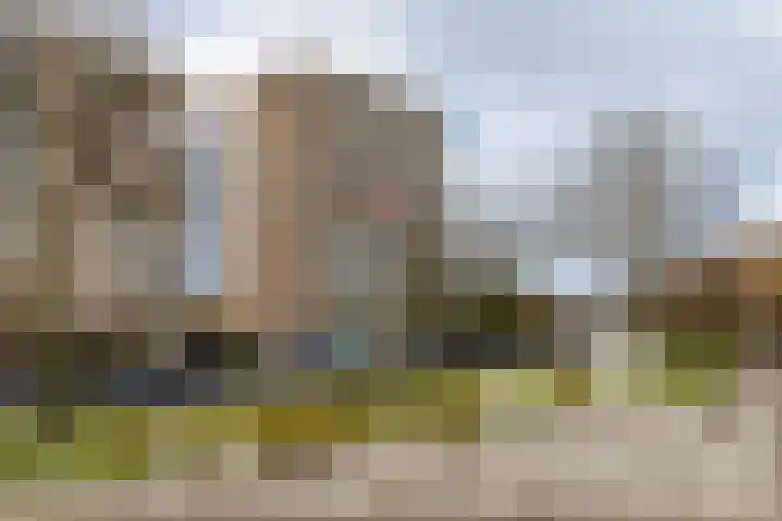 Forellendaal 156 Den Haag