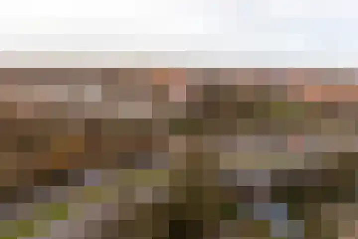 Forellendaal 156 Den Haag thumbnail 4