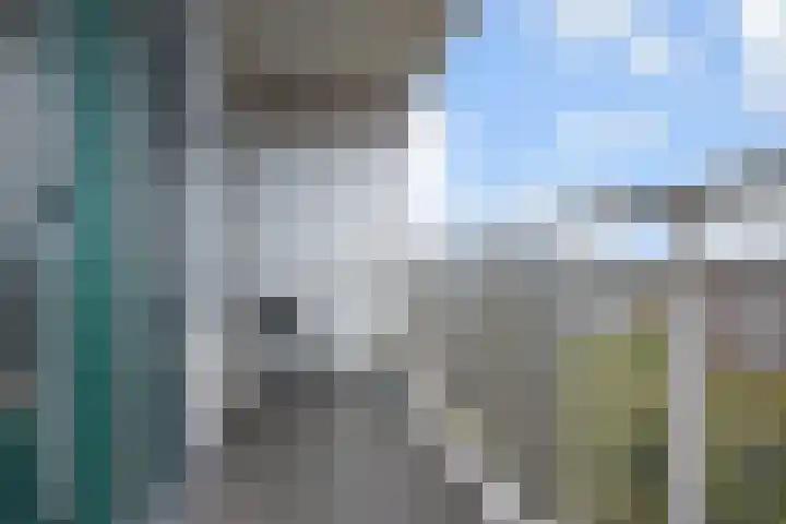 Forellendaal 188 Den Haag thumbnail 32