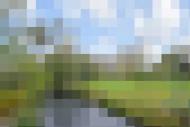 Forellendaal 188 Den Haag thumbnail 38