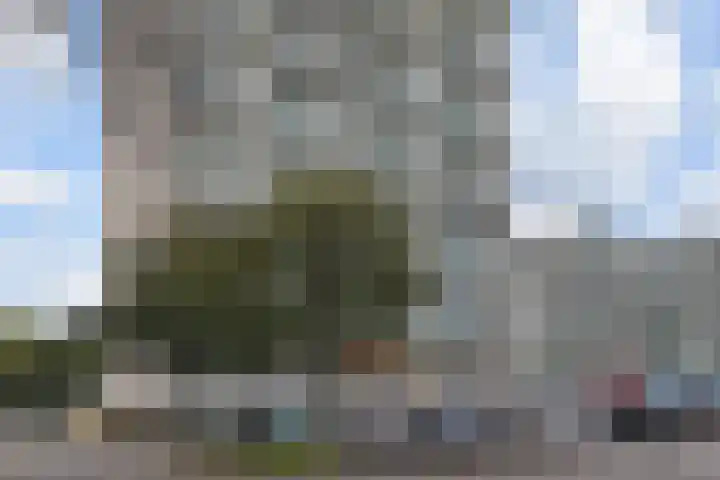 Forellendaal 188 Den Haag thumbnail 44