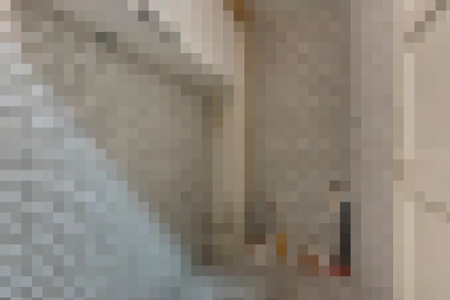 Forellendaal 198 Den Haag thumbnail 19