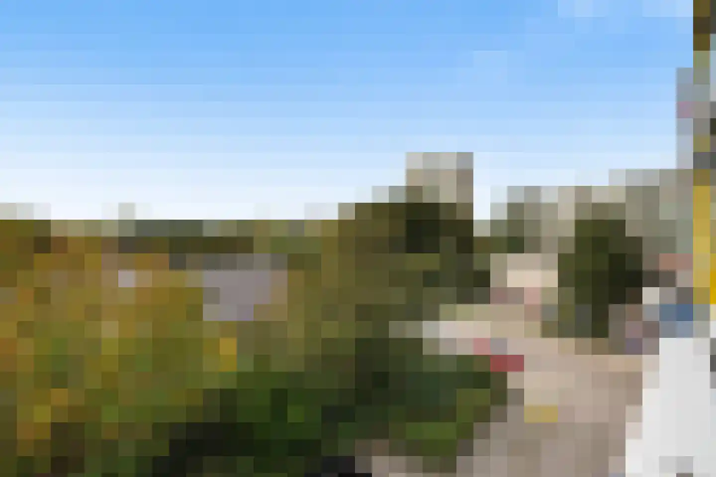 Forellendaal 209 Den Haag thumbnail 13