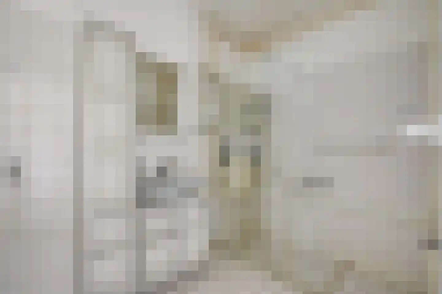Forellendaal 209 Den Haag thumbnail 22