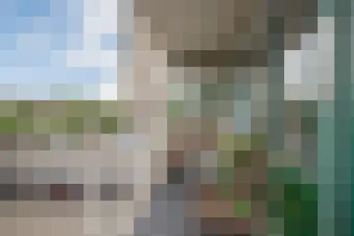 Forellendaal 26 Den Haag thumbnail 22