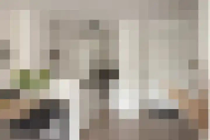 Forellendaal 26 Den Haag thumbnail 4