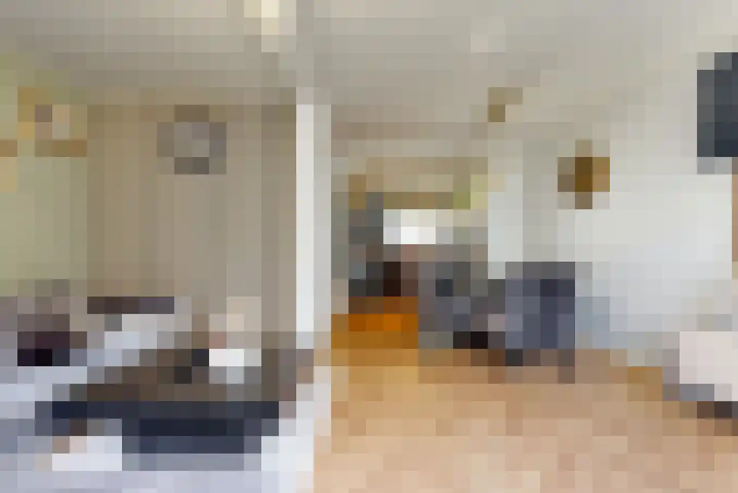 Forellendaal 366 Den Haag thumbnail 10