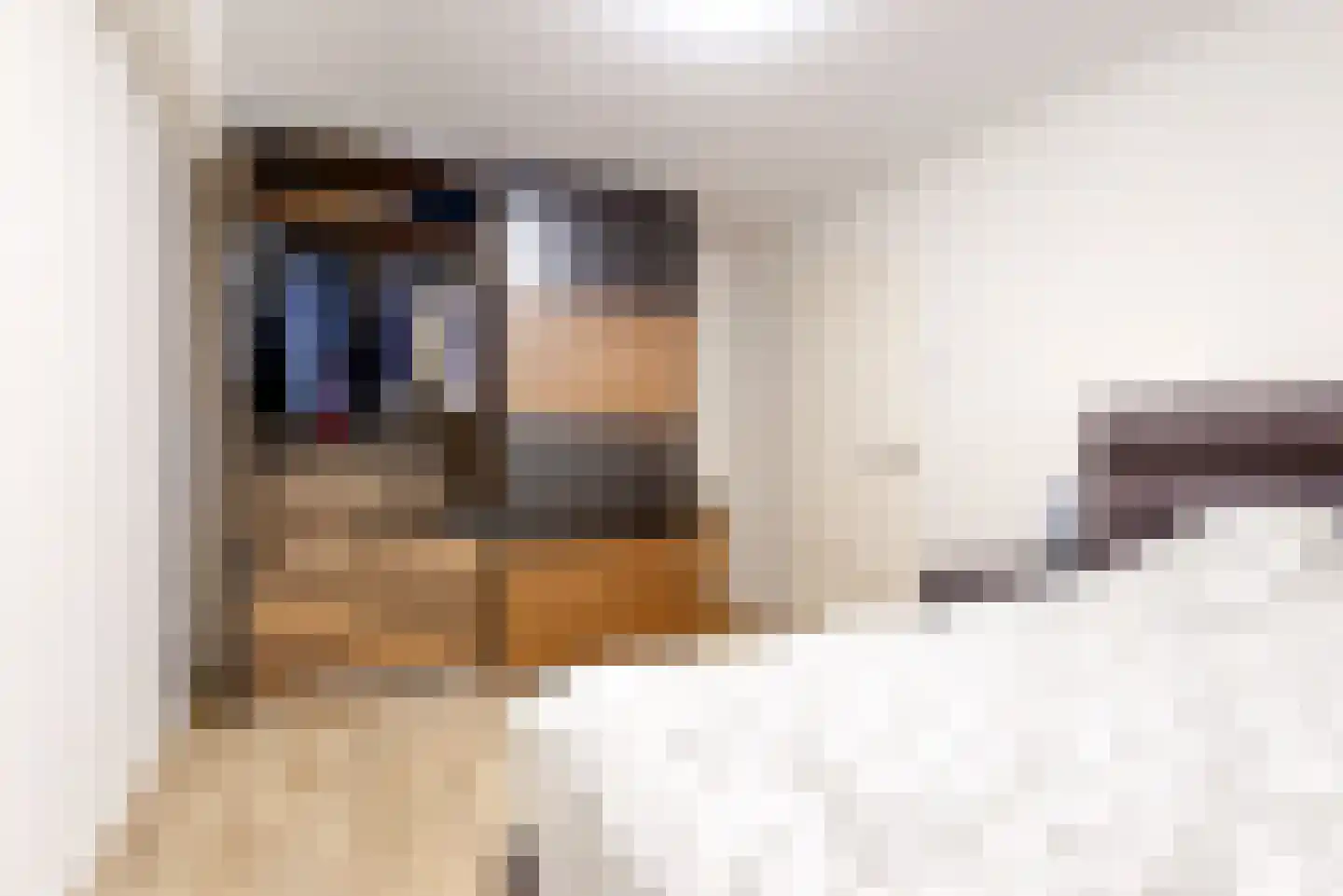 Forellendaal 366 Den Haag thumbnail 22