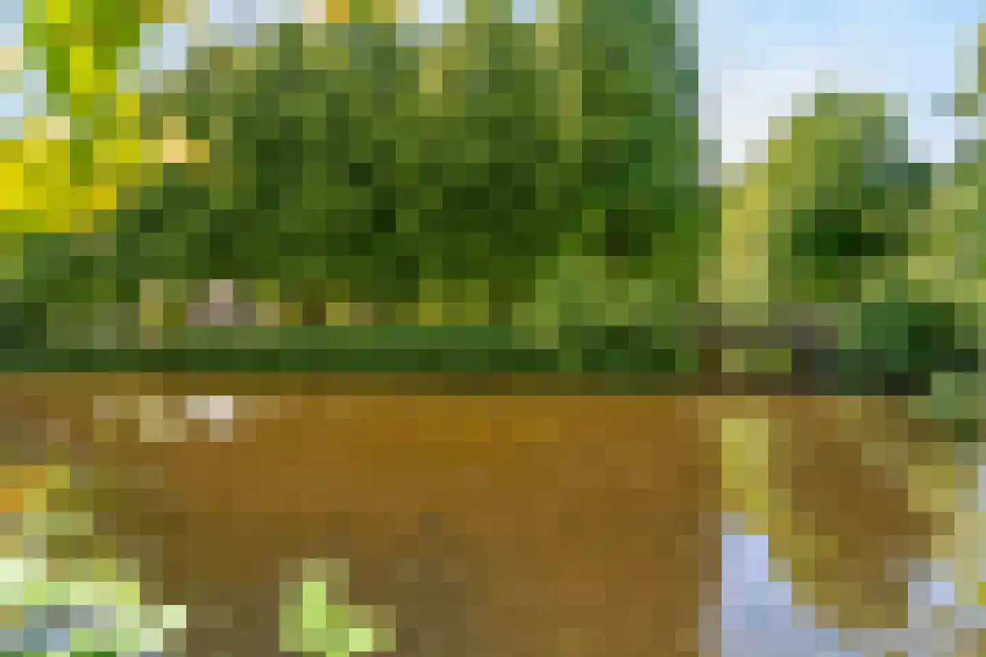 Forellendaal 366 Den Haag thumbnail 31