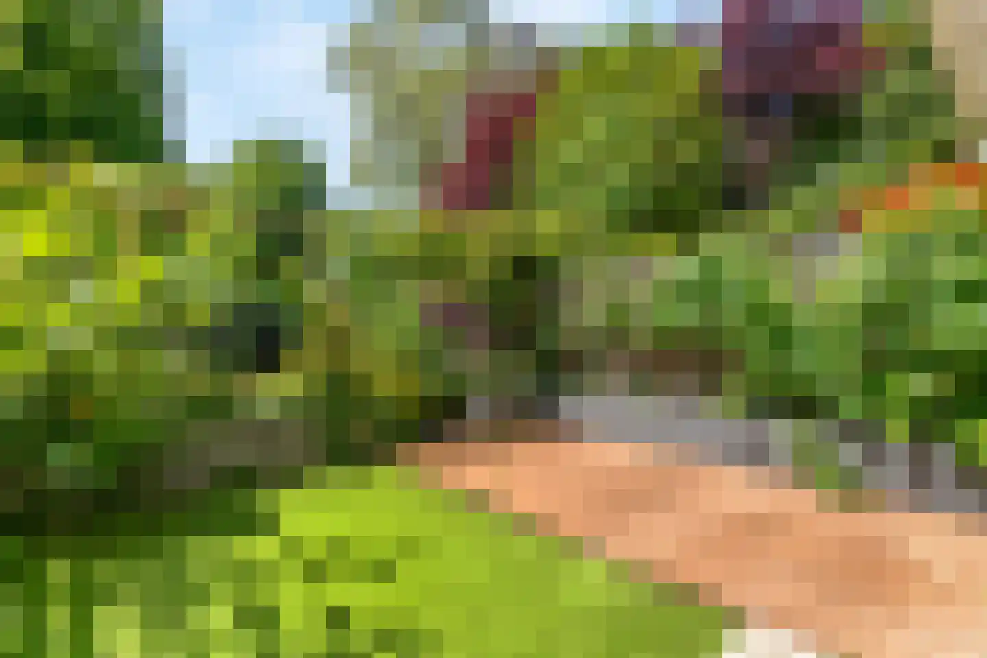 Forellendaal 366 Den Haag thumbnail 32