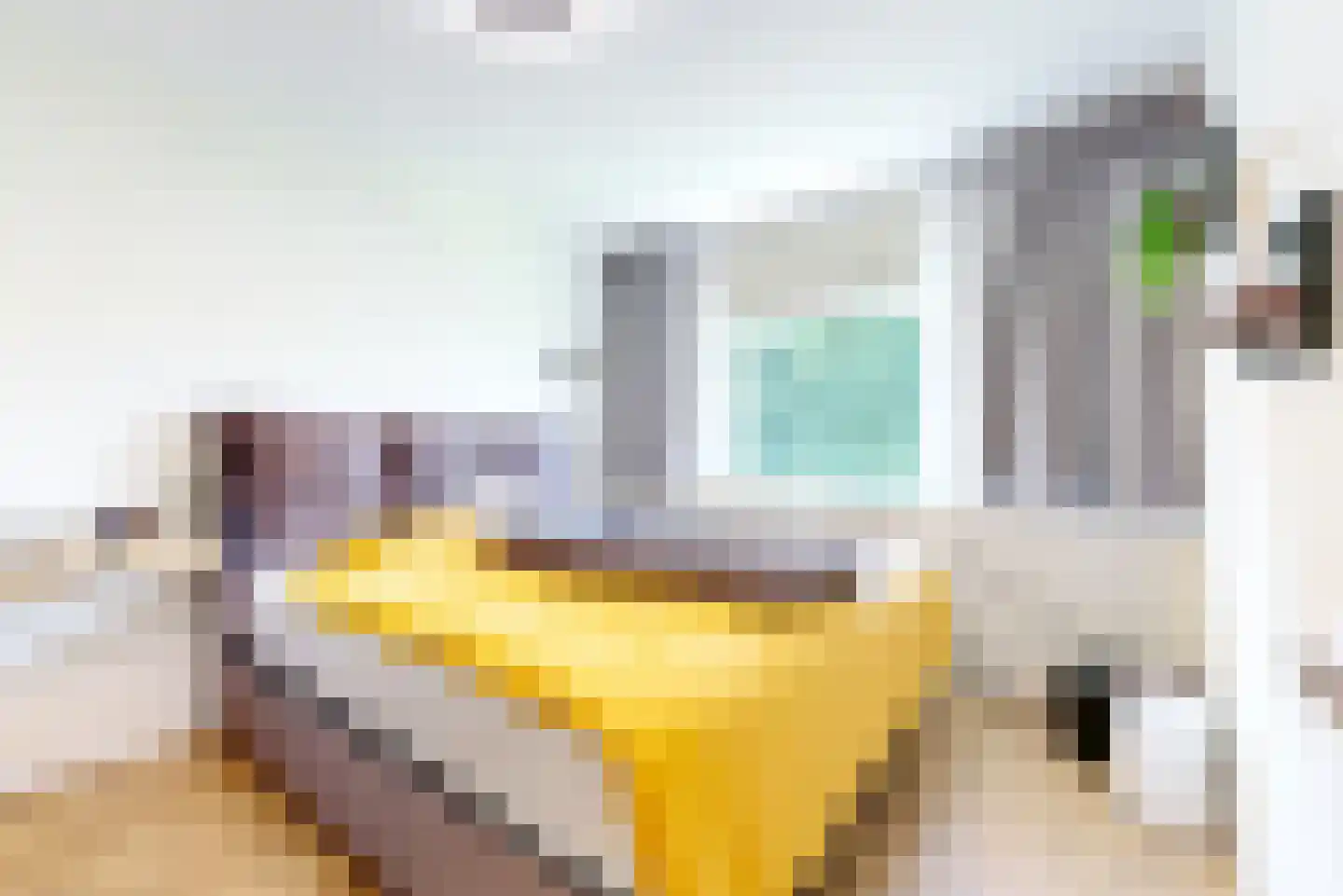 Forellendaal 366 Den Haag thumbnail 37