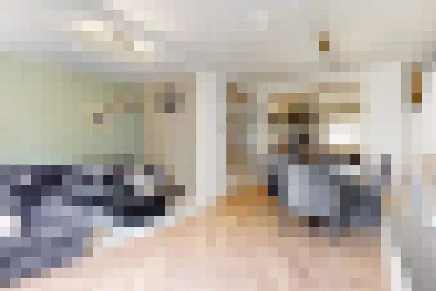 Forellendaal 366 Den Haag thumbnail 4