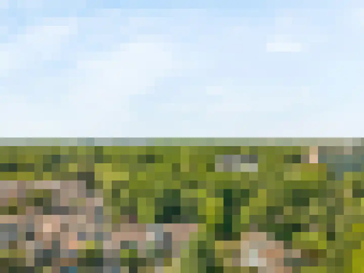 Forellendaal 366 Den Haag thumbnail 45