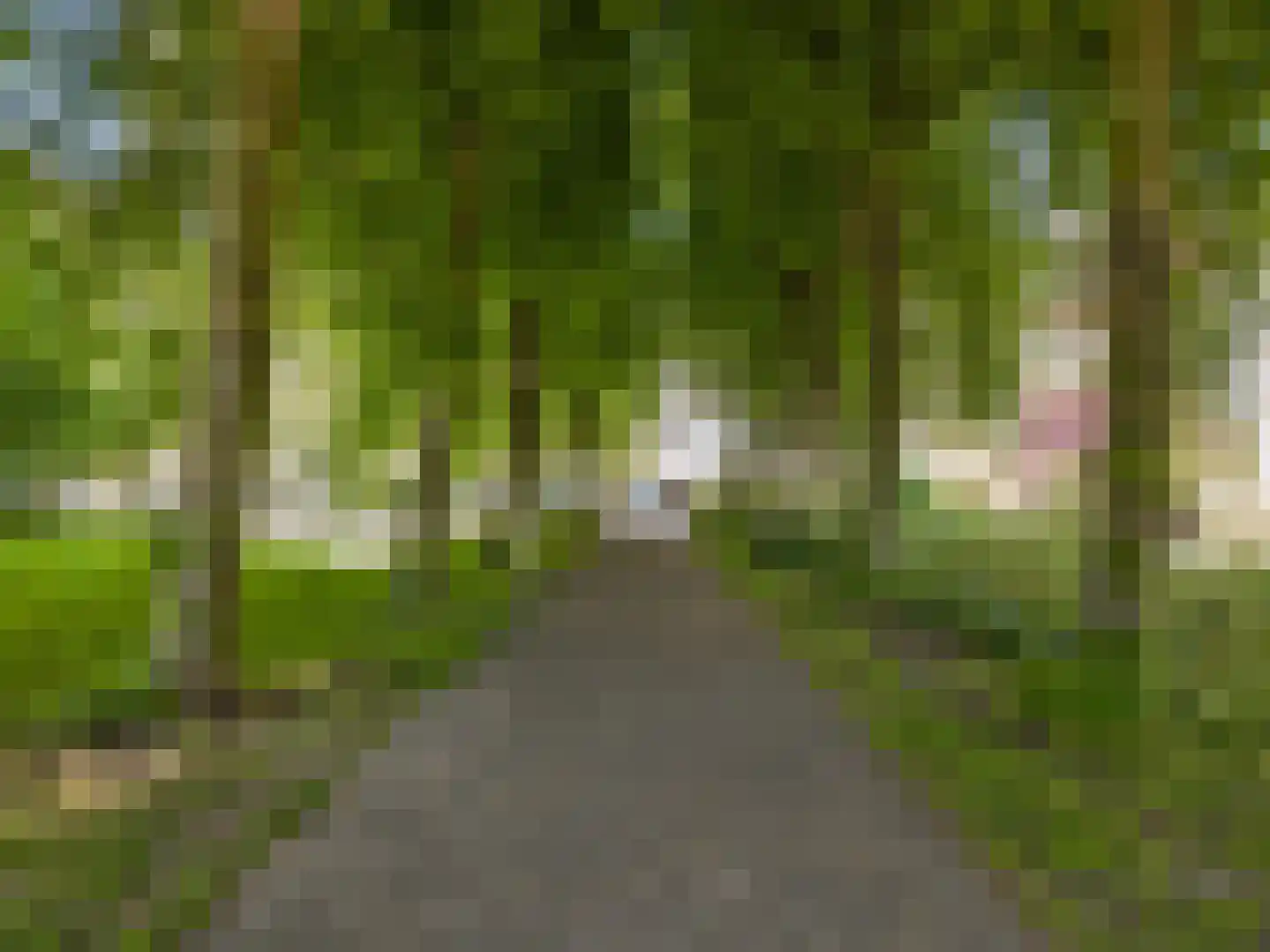 Forellendaal 366 Den Haag thumbnail 46