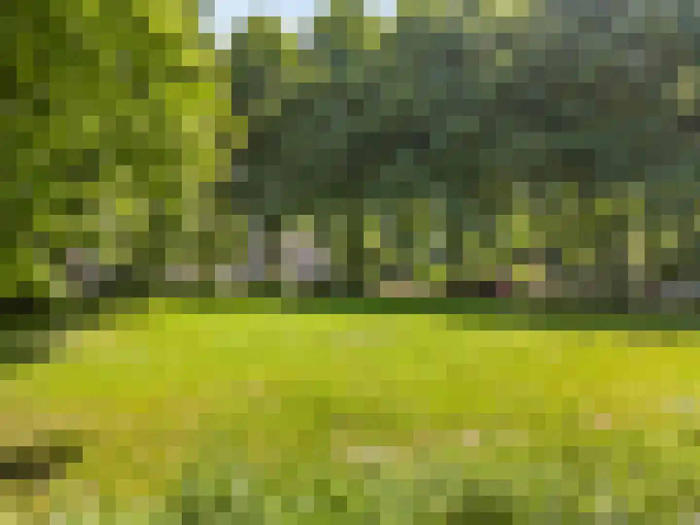 Forellendaal 366 Den Haag thumbnail 48