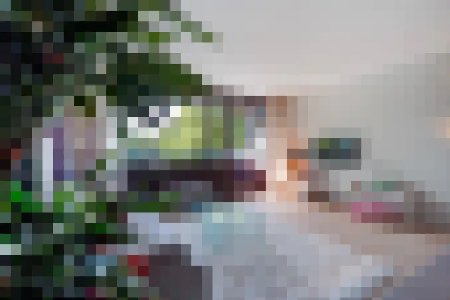 Forellendaal 437 Den Haag thumbnail 16