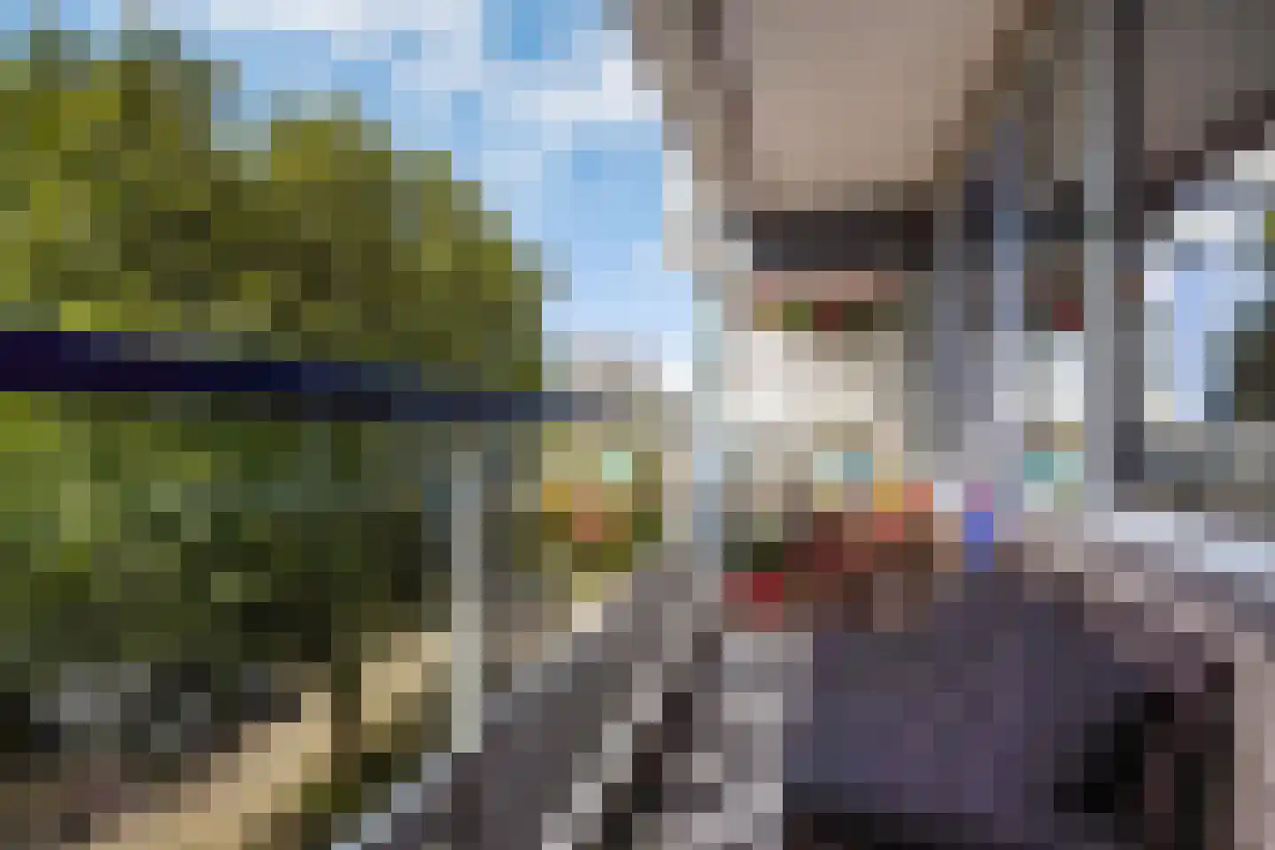 Forellendaal 437 Den Haag thumbnail 4