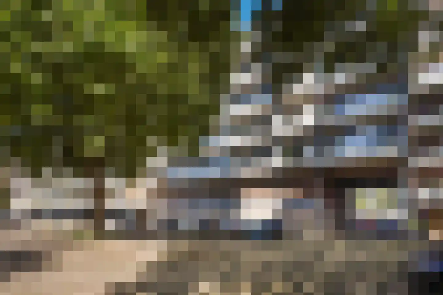 Forellendaal 437 Den Haag thumbnail 5