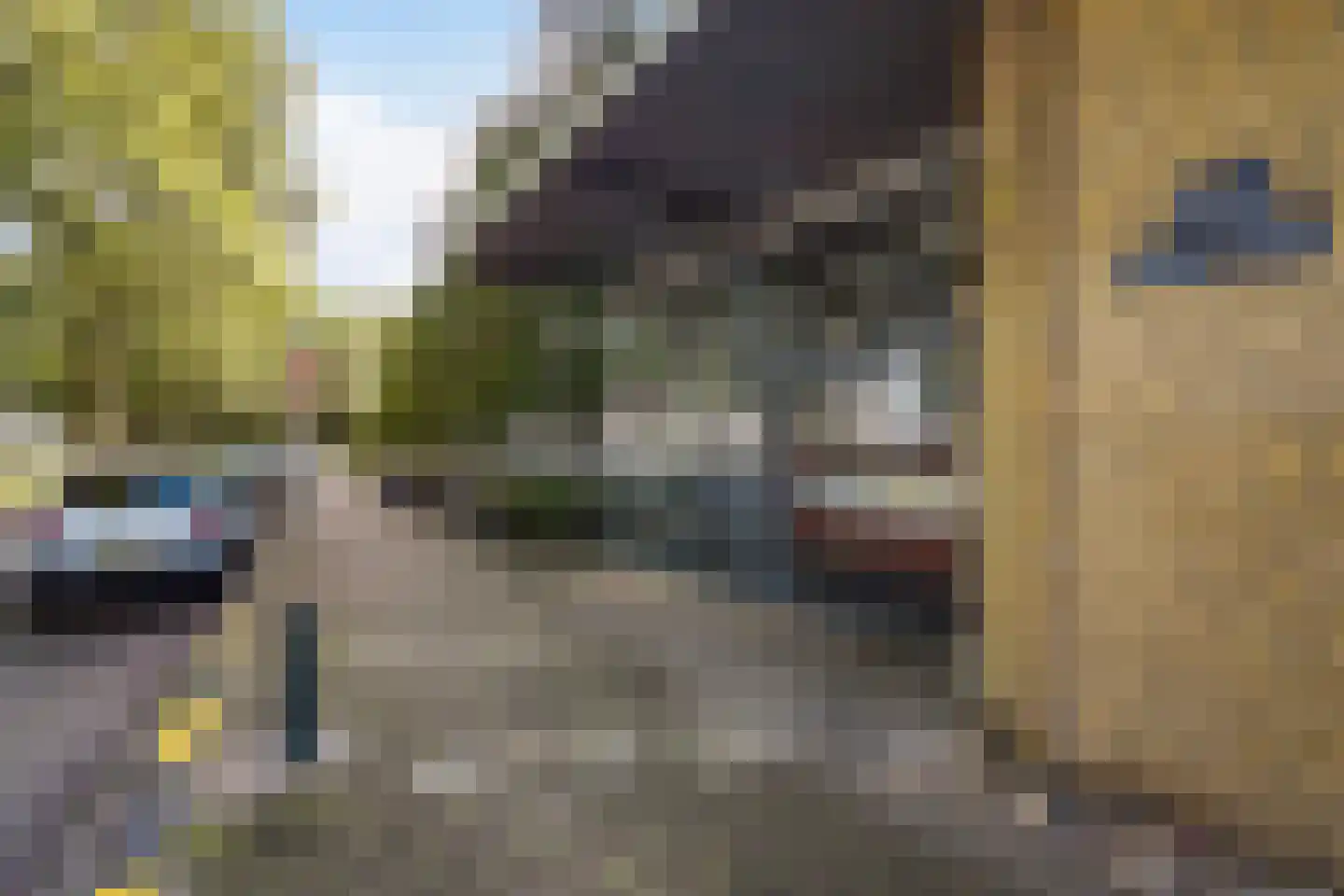 Forellendaal 437 Den Haag thumbnail 6