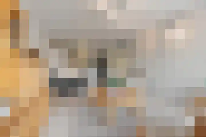 Forellendaal 656 Den Haag thumbnail 10