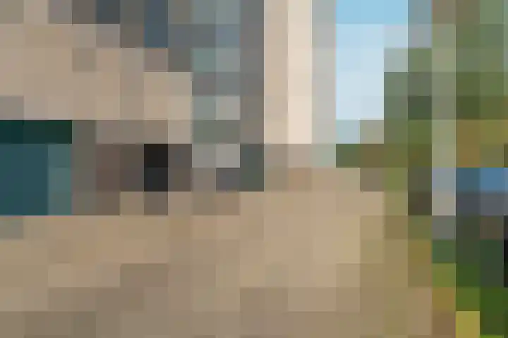 Forellendaal 656 Den Haag thumbnail 11
