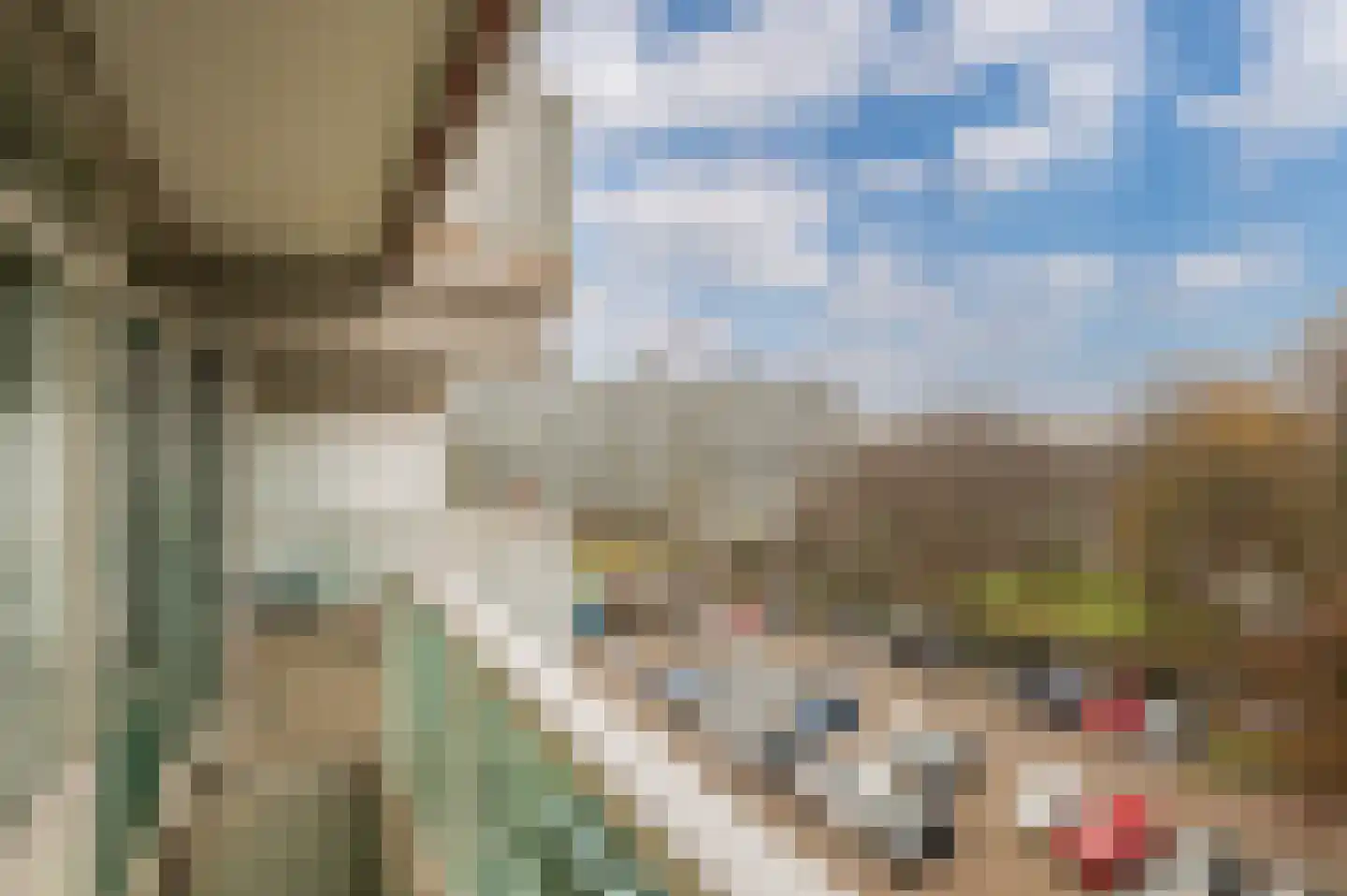 Forellendaal 68 Den Haag thumbnail 15