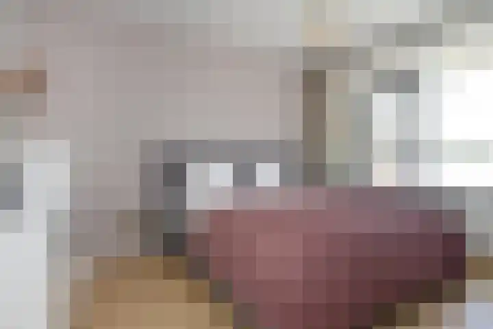 Forellendaal 686 Den Haag thumbnail 33
