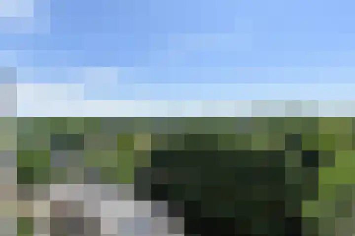 Forellendaal 686 Den Haag thumbnail 36