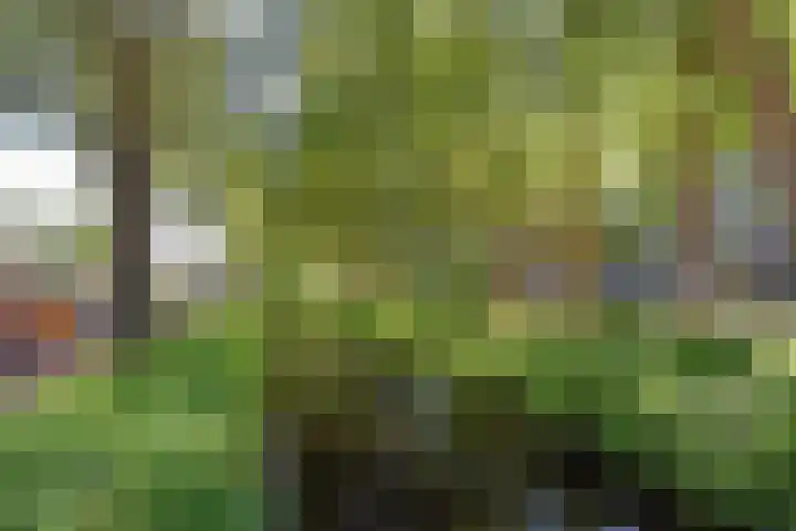 Forellendaal 686 Den Haag thumbnail 37