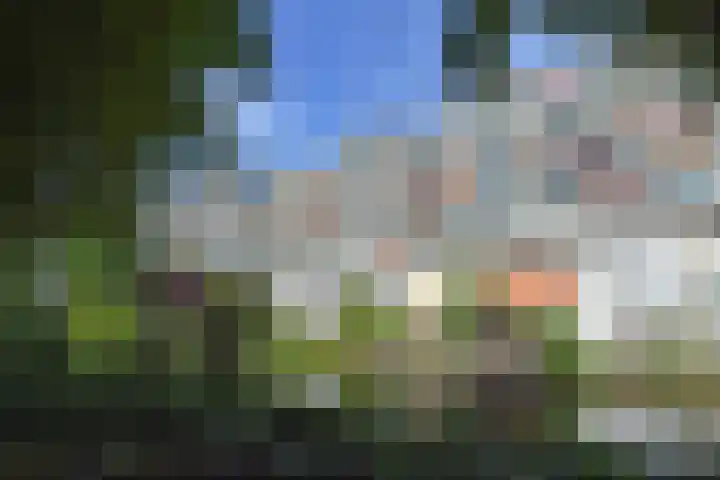Forellendaal 686 Den Haag thumbnail 41