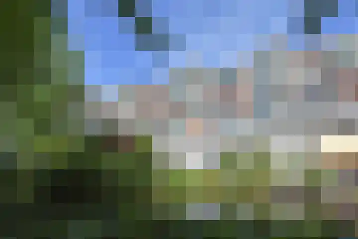 Forellendaal 686 Den Haag thumbnail 42