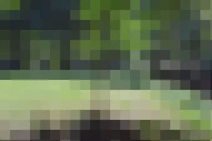 Forellendaal 686 Den Haag thumbnail 43