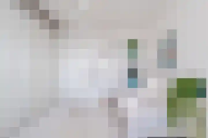 Forellendaal 696 Den Haag thumbnail 18