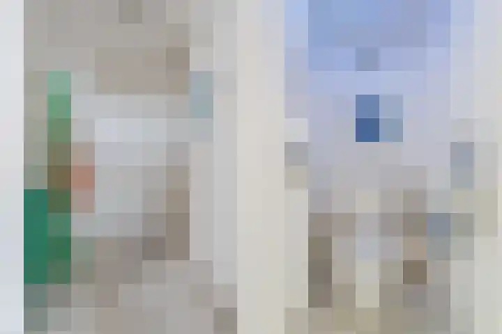 Forellendaal 696 Den Haag thumbnail 8