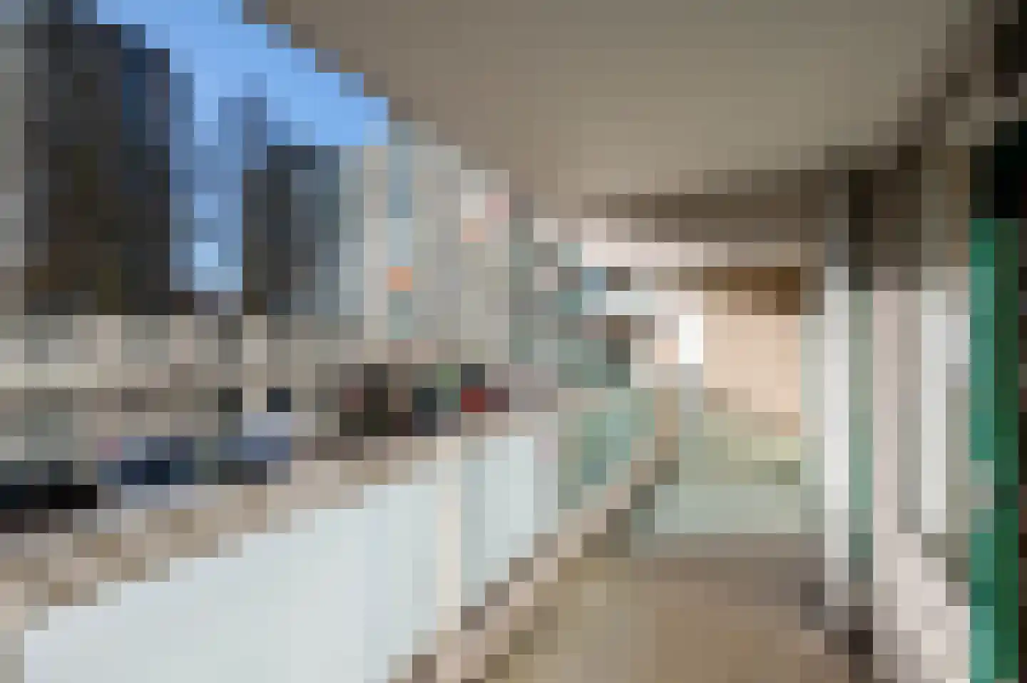 Forellendaal 708 Den Haag thumbnail 16