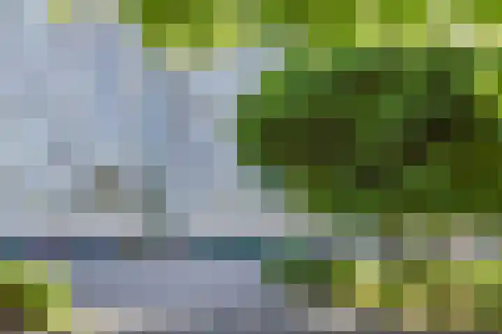 Forellendaal 784 in Den Haag