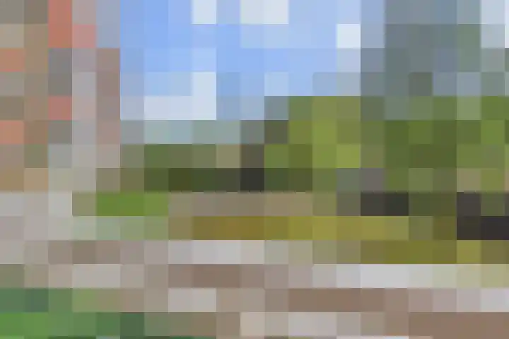 Forellendaal 784 Den Haag thumbnail 11