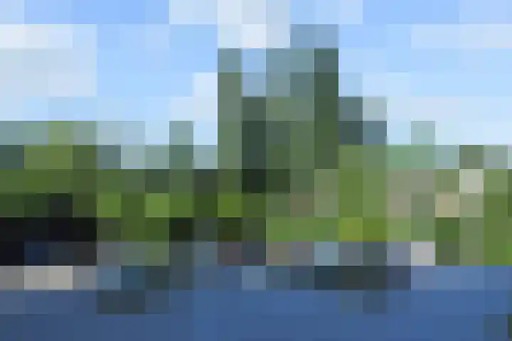 Forellendaal 784 Den Haag thumbnail 24