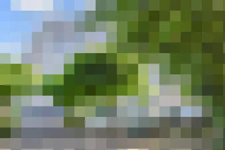 Forellendaal 784 Den Haag thumbnail 25
