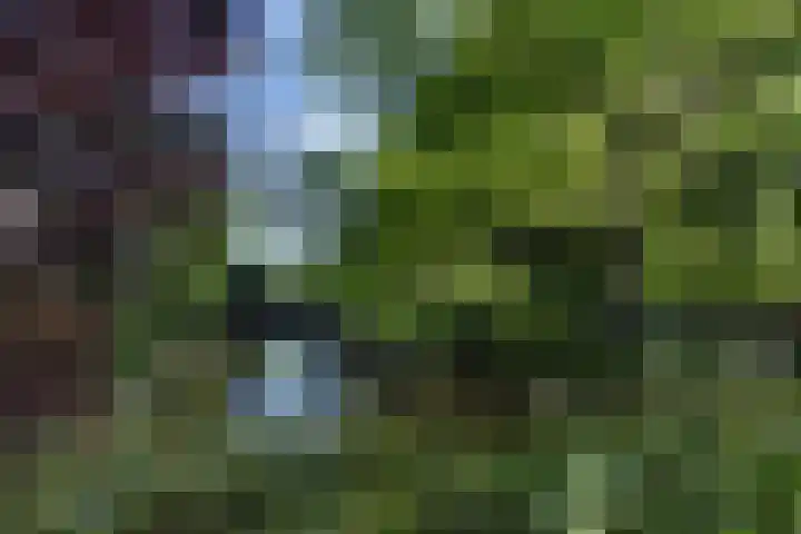 Forellendaal 784 Den Haag thumbnail 32
