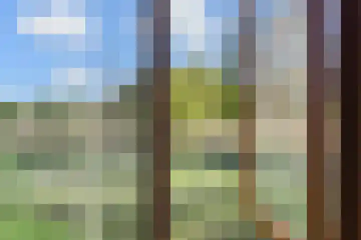 Forellendaal 784 Den Haag thumbnail 7