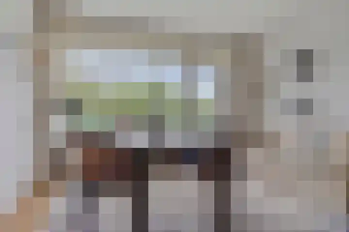 Forellendaal 786 Den Haag thumbnail 14