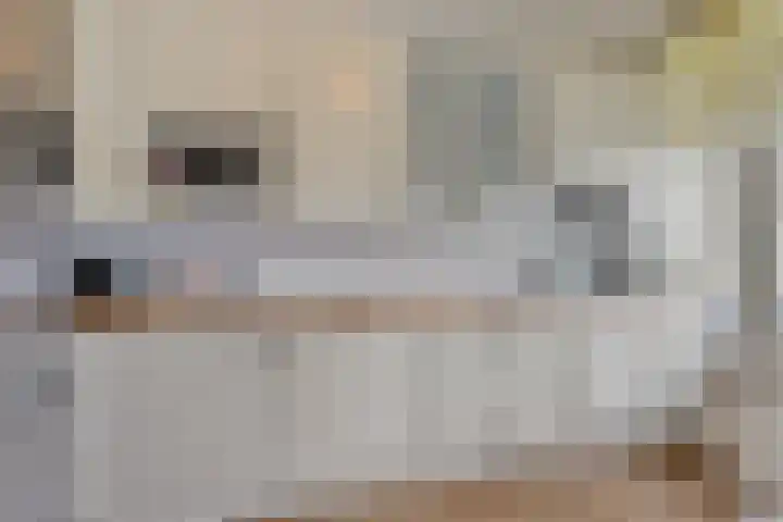 Forellendaal 786 Den Haag thumbnail 16